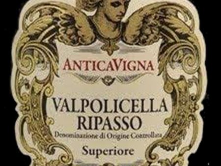 Antica Vigna Valpolicella Ripasso DOC Superiore Online Sale