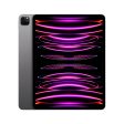 12.9-inch iPad Pro (6th Gen) Wi_Fi 256GB - Space Grey Supply