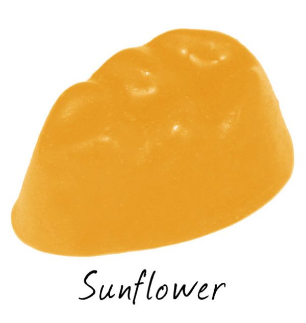 Sunflower Cheap