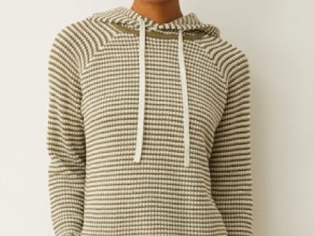 Cashmere Stripe Hoody Online