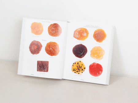 The Sqirl Jam (Jelly, Fruit Butters and Others) Book For Sale