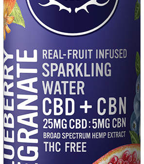 Blueberry Pomegranate Sparkling Water Hot on Sale