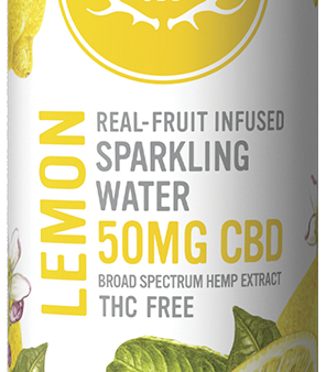 Lemon Sparkling Water on Sale