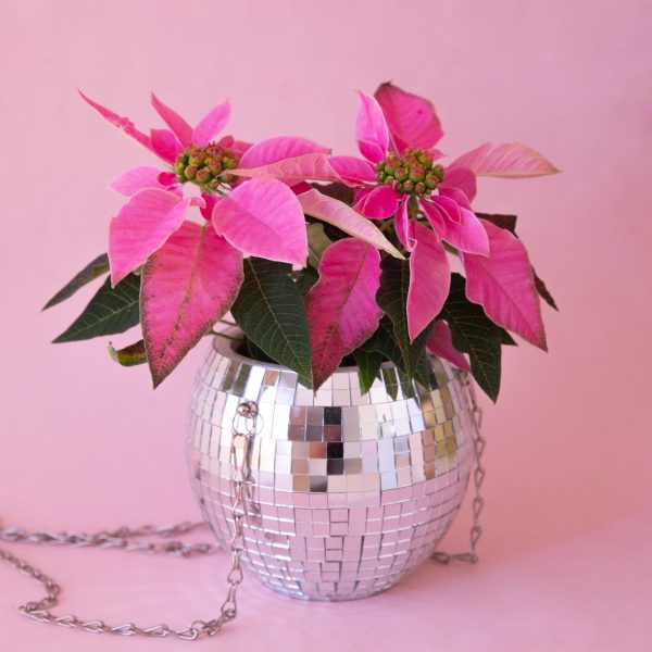 Disco Ball 6  Hanging Planter Online Sale