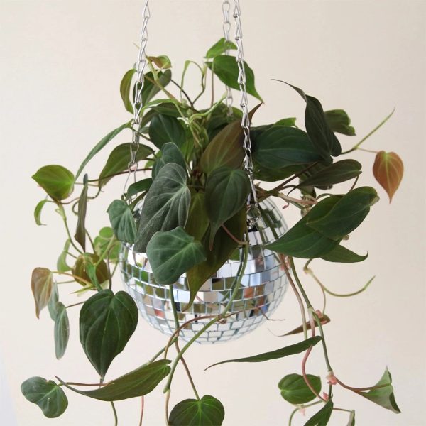 Disco Ball 6  Hanging Planter Online Sale