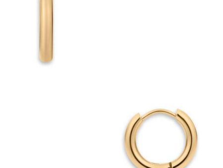 Erin Gold Huggie Earrings Supply